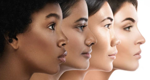 Skin Model